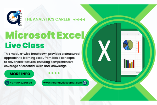Excel Master Live Class